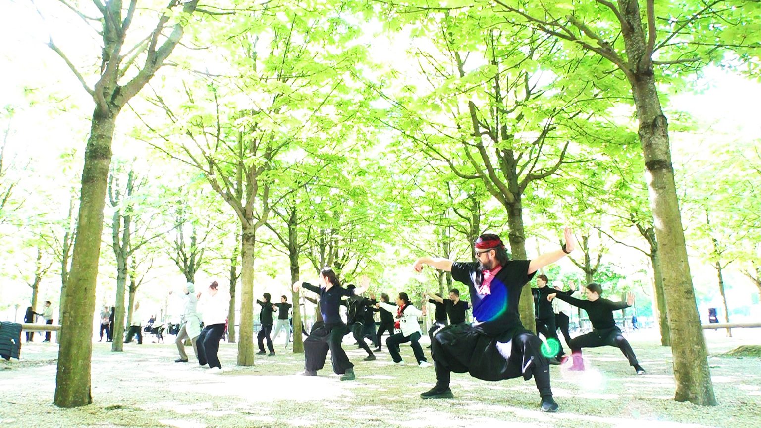 Qi Gong Gratuit Jardin Des Plantes Paris